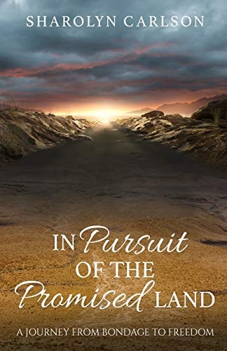 In Pursuit of the Promised Land A Journey from Bondage to Freedom
