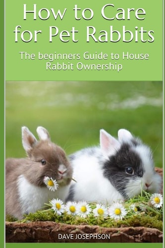 How to Care for Pet Rabbits The Beginners Guide to House Rabbit Ownership