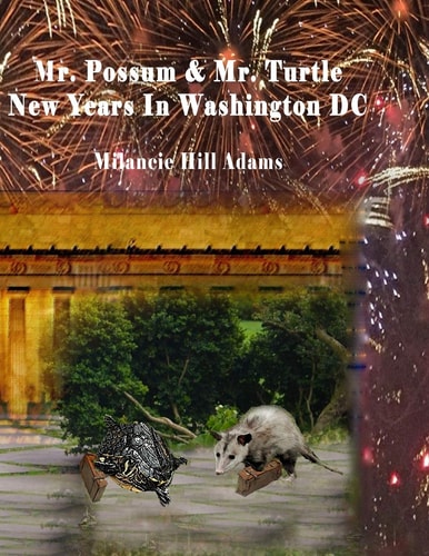 Mr. Possum and Mr. Turtle - New Years in Washington DC