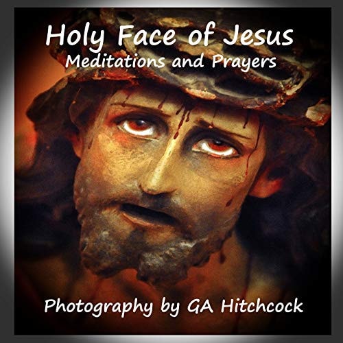 The Holy Face of Jesus Meditations and Prayers