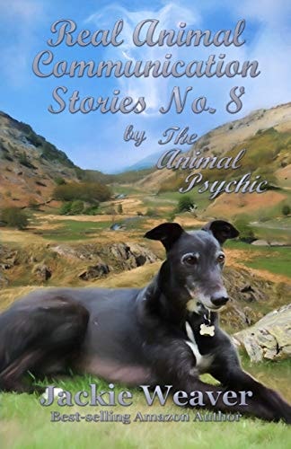 Real Stories of Animal Communication No.8 By The Animal Psychic