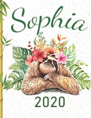 Sophia 2020