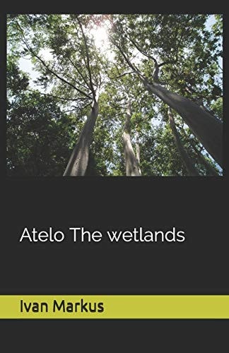 Atelo The Wetlans