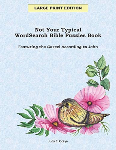 Not Your Typical WordSearch Bible Puzzles Book Featuring the Gospel According to John