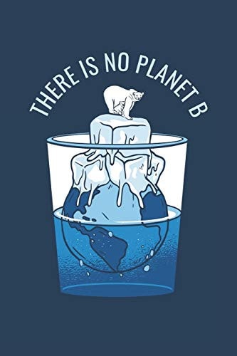 There is No Planet B Wochenplaner Jahr 2020 Mit Prioritäten und ToDos 53 Seiten Als Geschenk