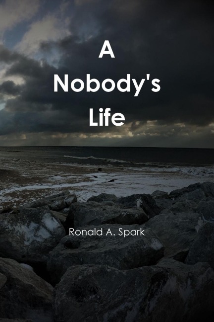 A Nobodys Life