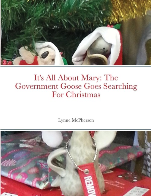 Its All About Mary: The Government Goose Goes Searching For Christmas