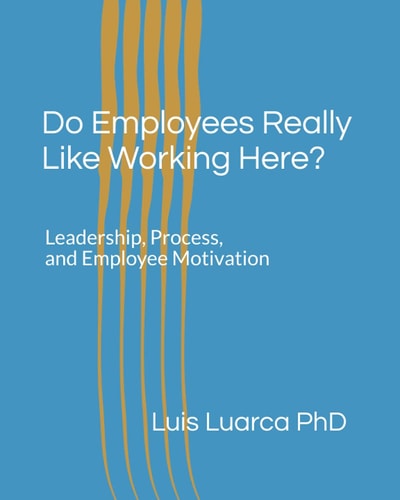 Do Employees Really Like Working Here? Leadership, Process, and Employee Motivation
