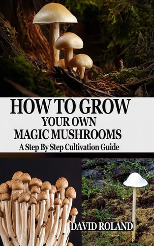 How to Grow Your Own Magic Mushrooms A Step By Step Cultivation Guide