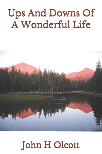 Ups And Downs Of A Wonderful Life