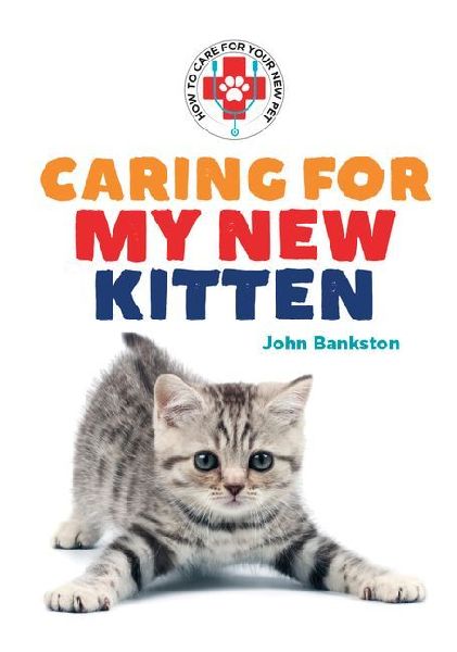 Caring for My New Kitten