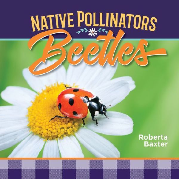 Beetles: Native Pollinators