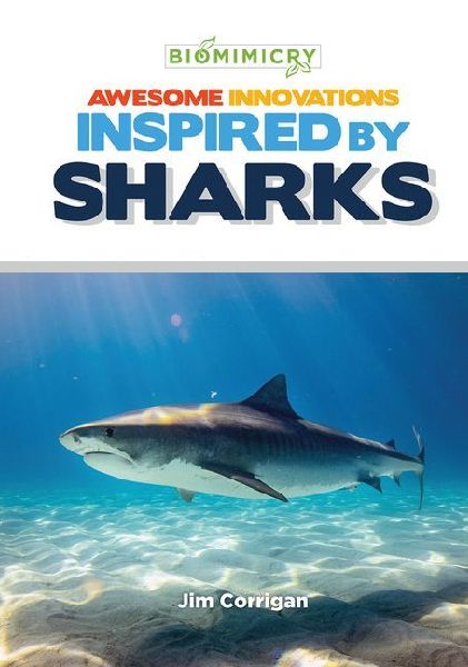 Awesome Innovations Inspired by Sharks