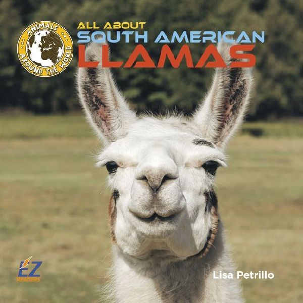 All about South American Llamas