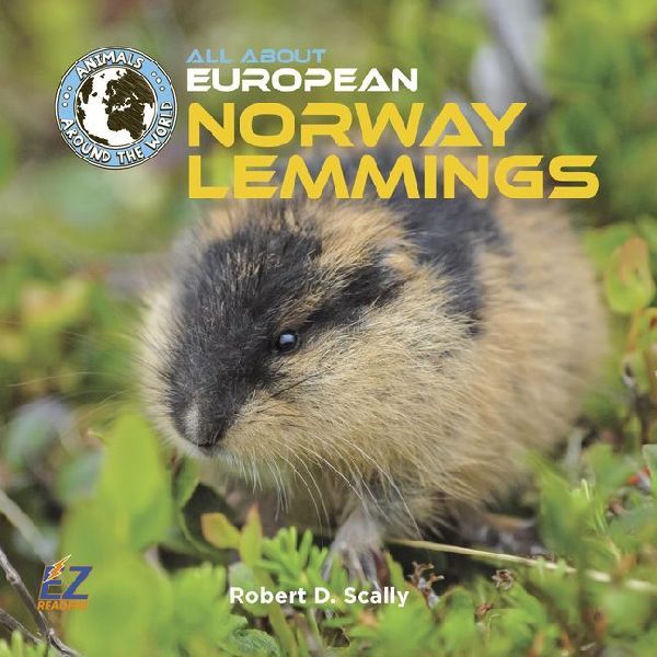 All about European Norway Lemmings