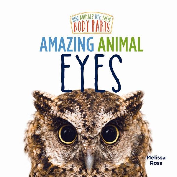 Amazing Animal Eyes