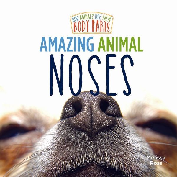 Amazing Animal Noses