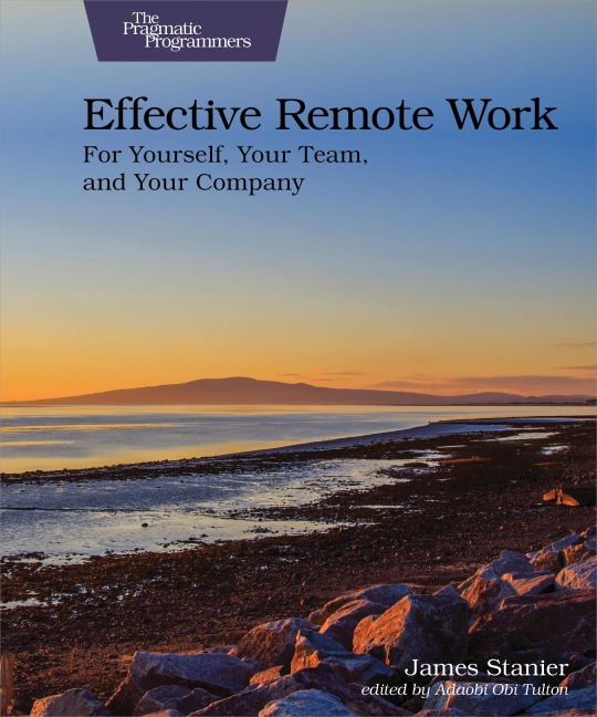 Effective Remote Work: For Yourself, Your Team, and Your Spany