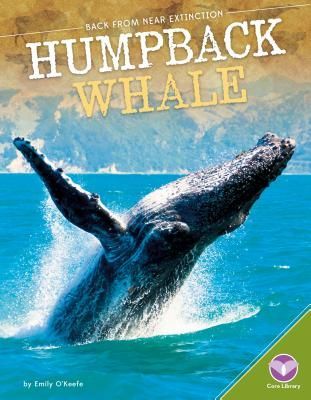 Humpback Whale