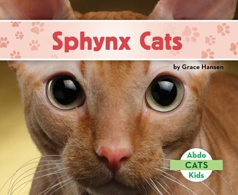Sphynx Cats