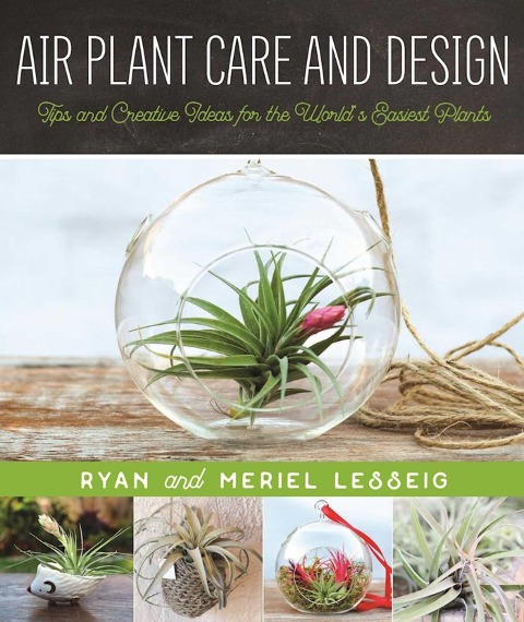 Air Plant Care and Design: Tips and Creative Ideas for the Worlds Easiest Plants
