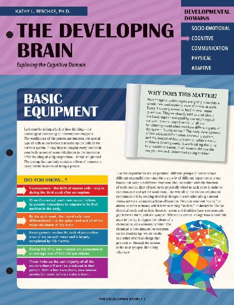 The Developing Brain: Exploring the Cognitive Domain