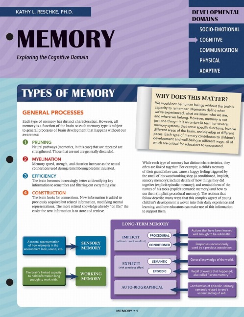 Memory: Exploring the Cognitive Domain