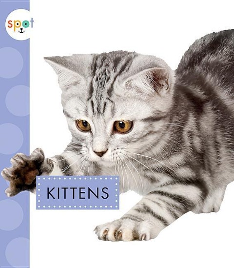 Kittens