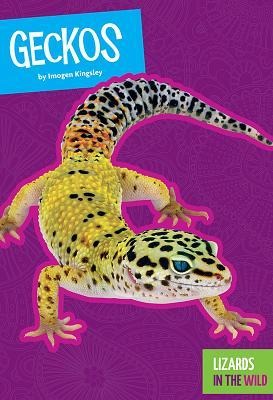 Geckos