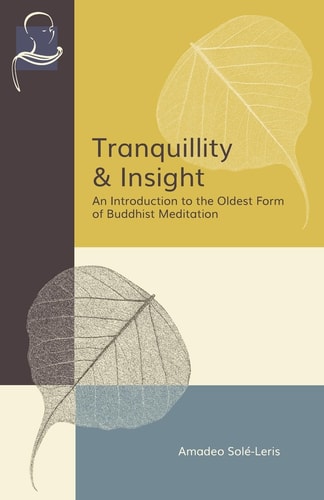 Tranquillity & Insight An Introduction to the Oldest Form of Buddhist Meditation
