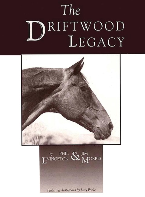 Driftwood Legacy: A Great Usin Horse and Sire of Usin Horses