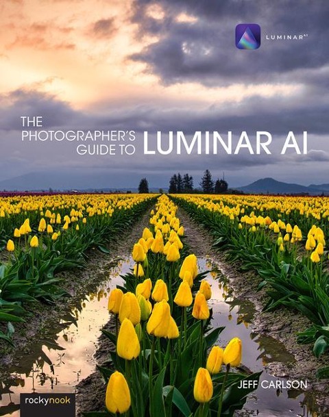 The Photographers Guide to Luminar AI