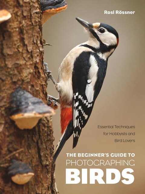 The Beginners Guide to Photographing Birds: Essential Techniques for Hobbyists and Bird Lovers