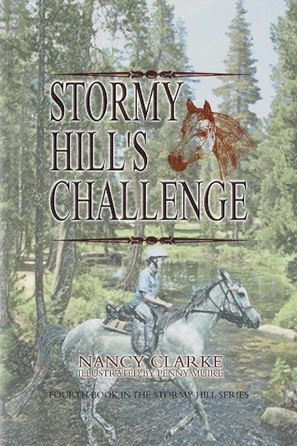 Stormy Hills Challenge: Fourth Book in the Stormy Hill Series