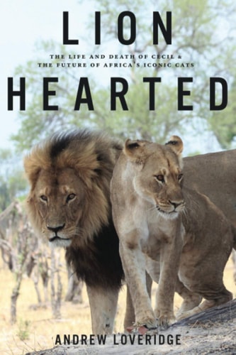 Lion Hearted The Life and Death of Cecil & the Future of Africa's Iconic Cats