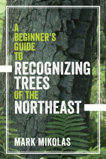 A Beginners Guide to Recognizing Trees of the Northeast