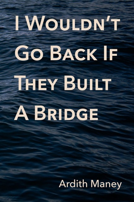 I Wouldnt Go Back If They Built A Bridge
