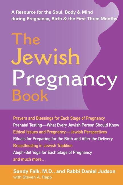 The Jewish Pregnancy Book: A Resource for the Soul, Body & Mind during Pregnancy, Birth & the First Three Months