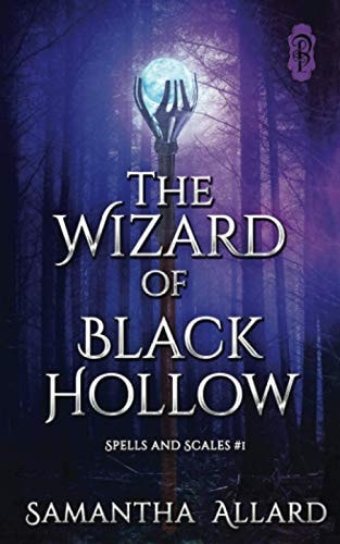 The Wizard of Black Hollow