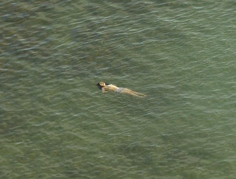 Richard Misrach: The Mysterious Opacity of Other Beings (Signed Edition)