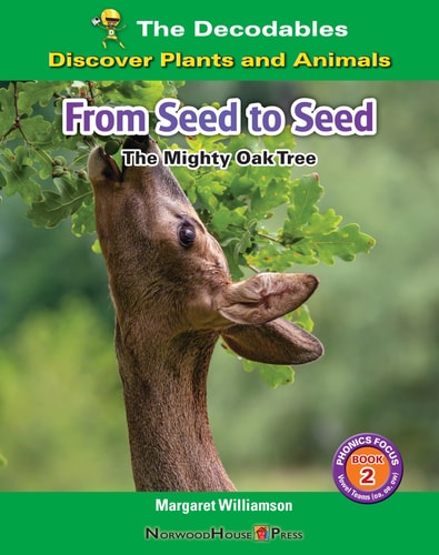 From Seed to Seed The Mighty Oak Tree