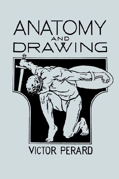 Anatomy and Drawing