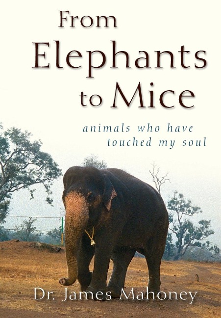 From Elephants to Mice: Animals Who Have Touched My Soul