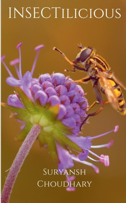 INSECTilicious