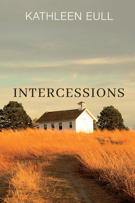Intercessions: A Novel