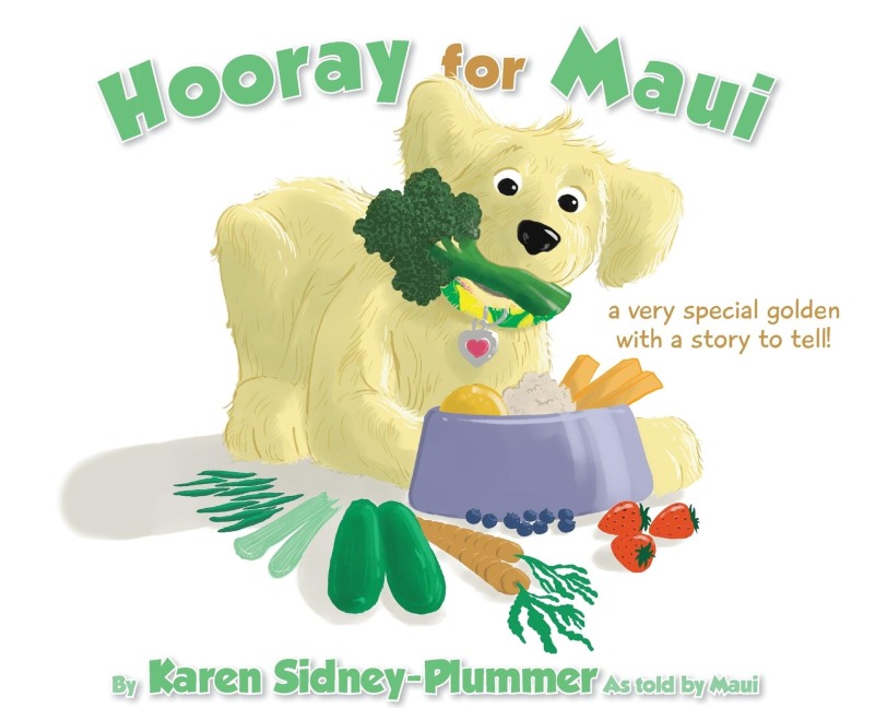 Hooray for Maui: A Very Special Golden with a Story to Tell