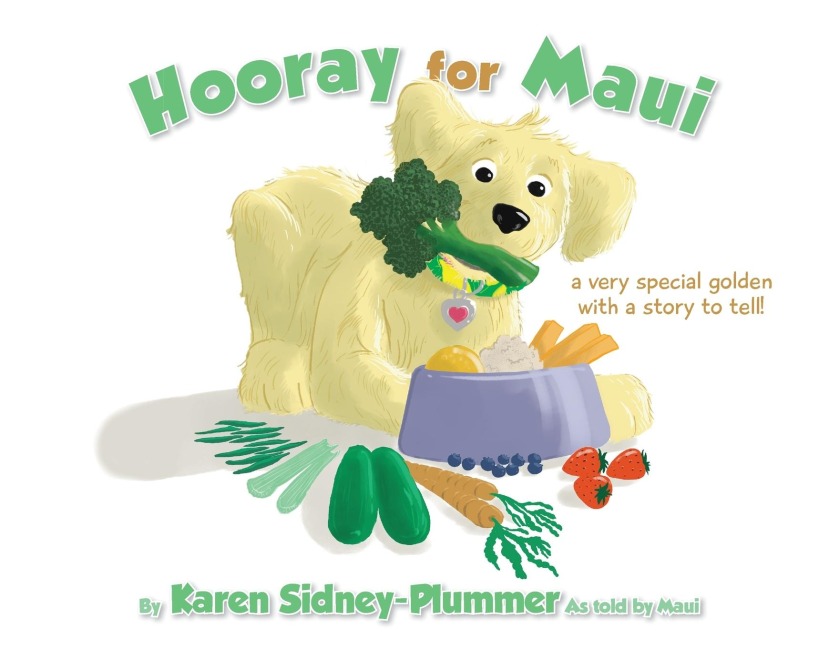 Hooray for Maui: A Very Special Golden with a Story to Tell