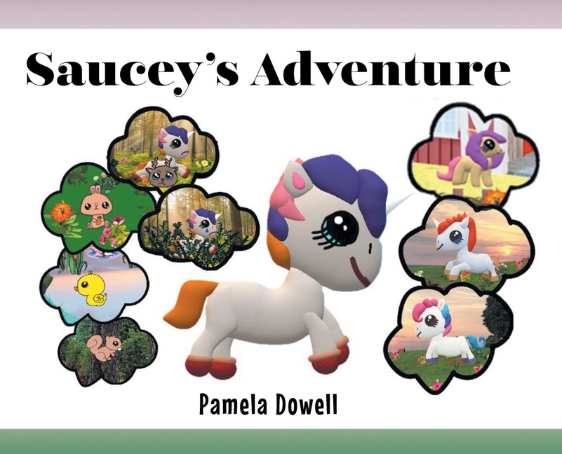 Sauceys Adventure