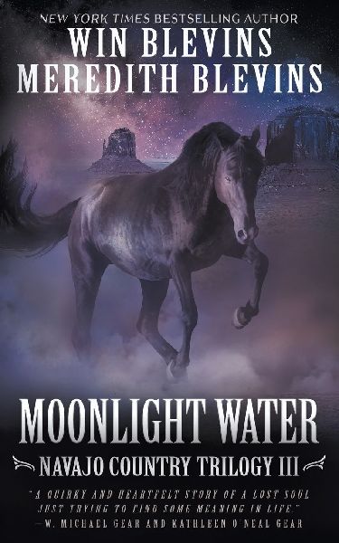 Moonlight Water: A Historical Mystery Series