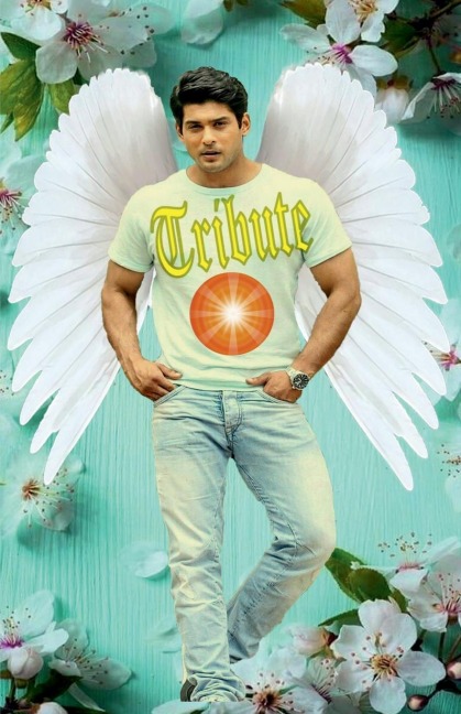 TRIBUTE